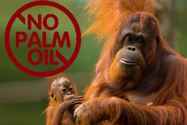 foto_orangutanes